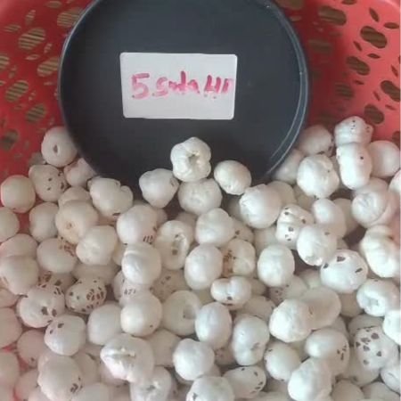 Premium 5 Suta Makhana
